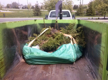 Bagster Being Placed Into Bin There Dump That Dump